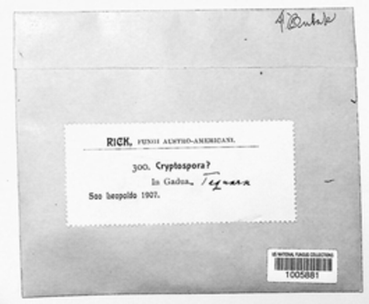 Cryptospora image